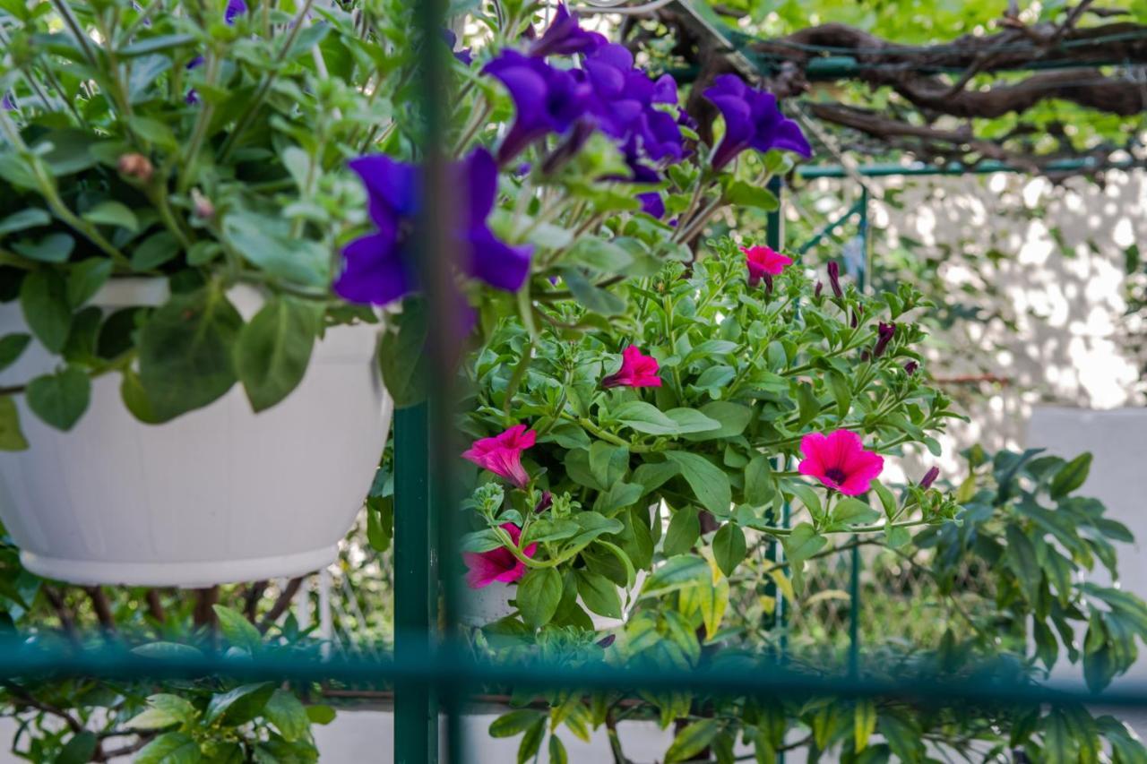 Heavenly Corner Apartman Split Kültér fotó